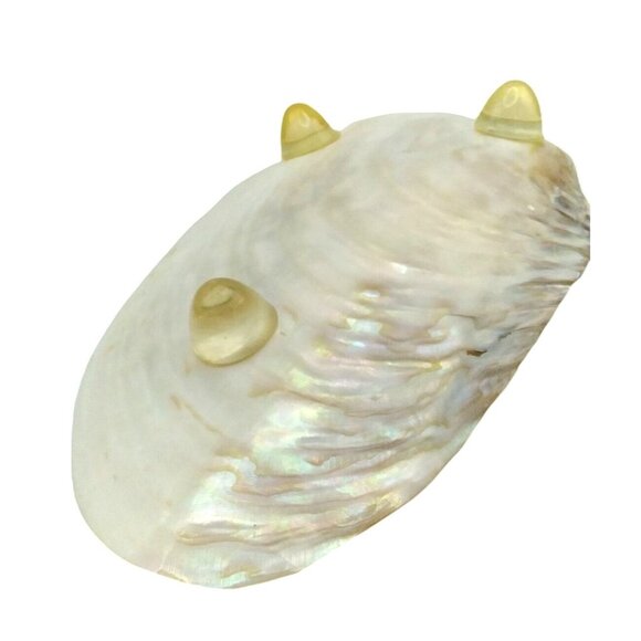 Caviar Server Natural  Iridescence Mother Of Pearl Shell Footed Base Design - Picture 2 of 6